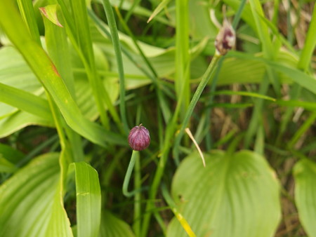 P7230327