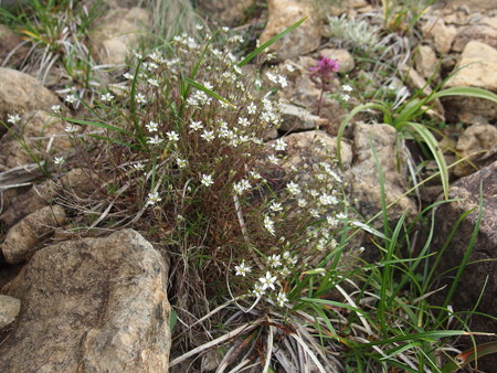 P7230371