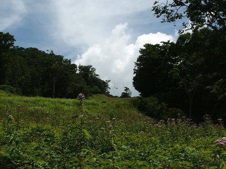P7290340
