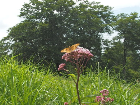 P7290348
