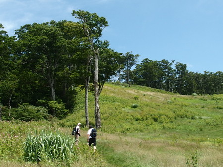 P7290358