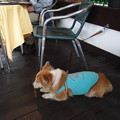 Photos: P8300338