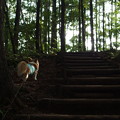 Photos: P8300373