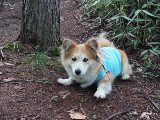 Photos: P8300376