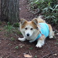 Photos: P8300376