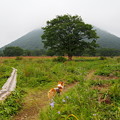 Photos: P1010052