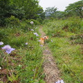 Photos: P1010062