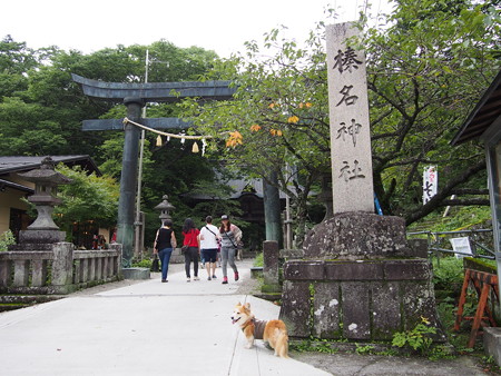 P9030073