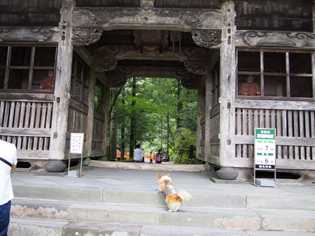 P9030074