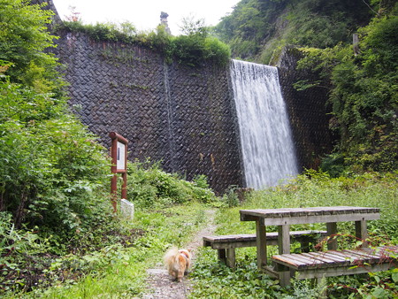 P9030127