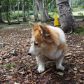 Photos: P9060027