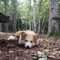 Photos: P9060033