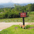 Photos: P9060061