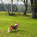 Photos: P9060086