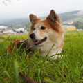 Photos: P9060088