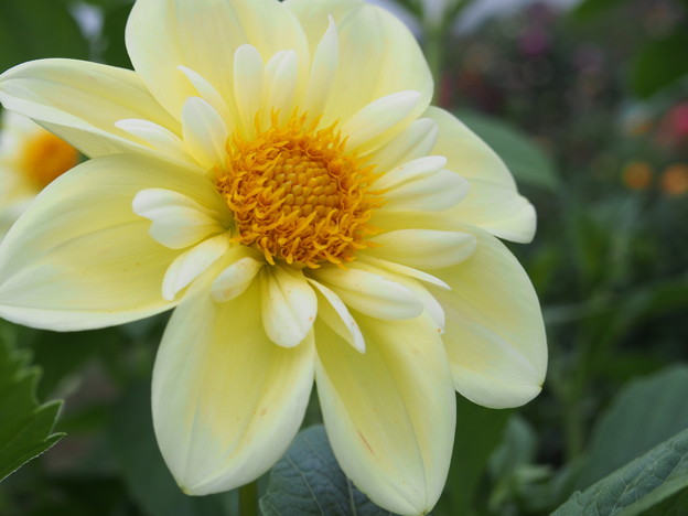 Photos: P9060113