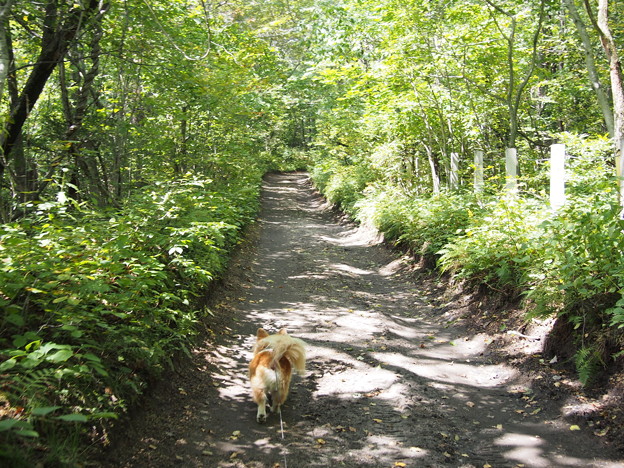 Photos: P9090129