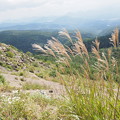 Photos: P9090134