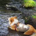 Photos: P9090176