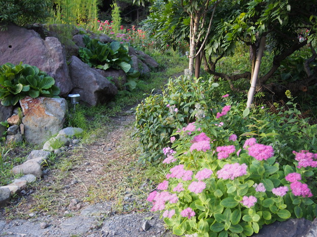 Photos: P9090195