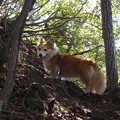 Photos: P9160133
