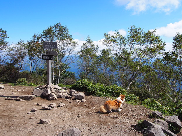 Photos: P9160152
