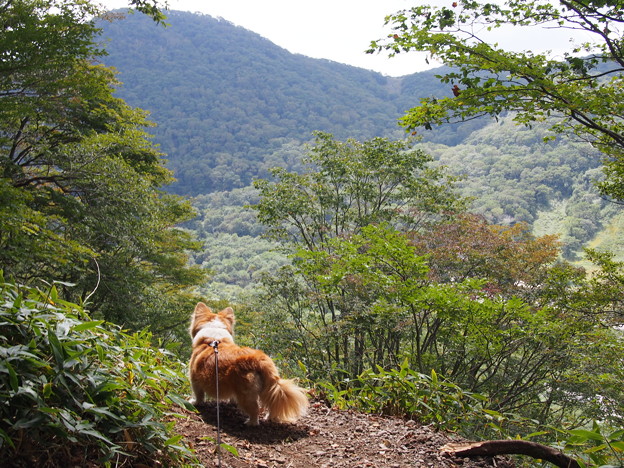 Photos: P9160218