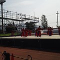 Photos: NEC_0022