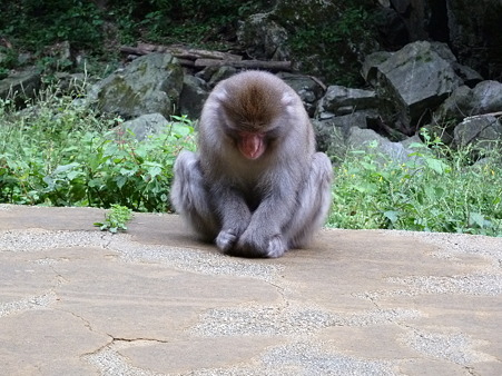 岡山2010 127