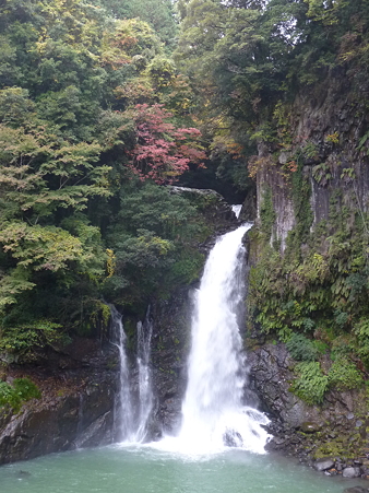 2010箱根伊豆 209