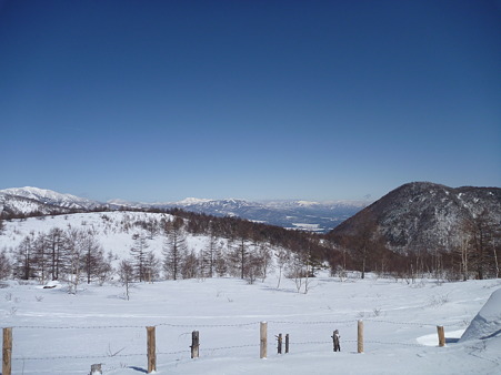 P1000769
