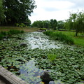 柏谷公園４