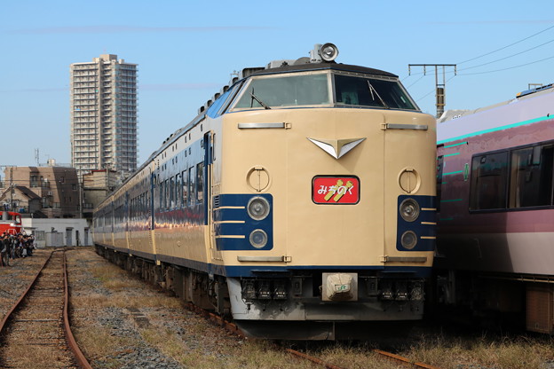 583系みちのく