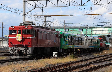 EL＋風っこ＋DL