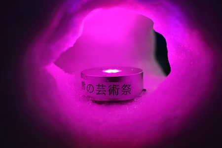 2M6C9954