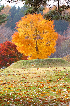 山形市野草園