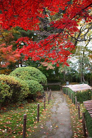 もみじ公園（宝幢寺跡）.
