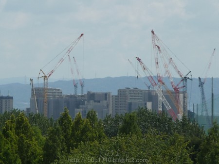 140830-万博記念公園 (20)