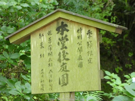 160606-明月院 (30)