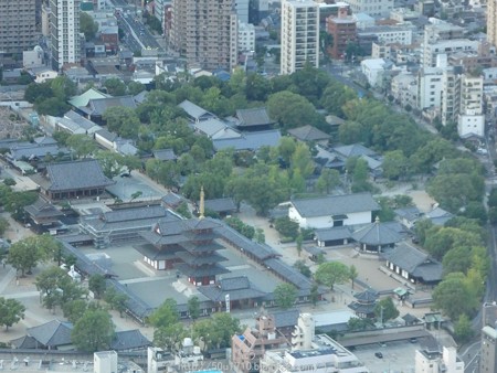 160828-ハルカス300(夕) (49)
