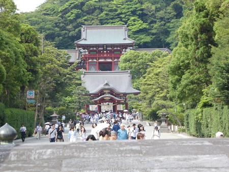 160606-鶴岡八幡宮 (6)