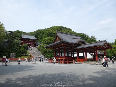 160606-鶴岡八幡宮 (10)