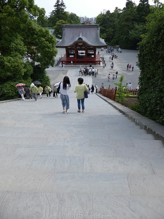 160606-鶴岡八幡宮 (25)