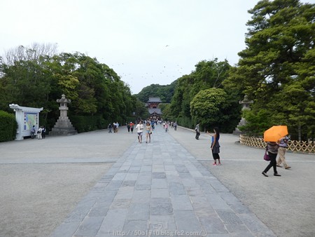 160606-鶴岡八幡宮 (34)