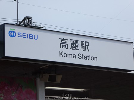 160926-高麗駅→巾着田 (5)