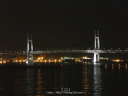 161205-横浜大桟橋 (30)