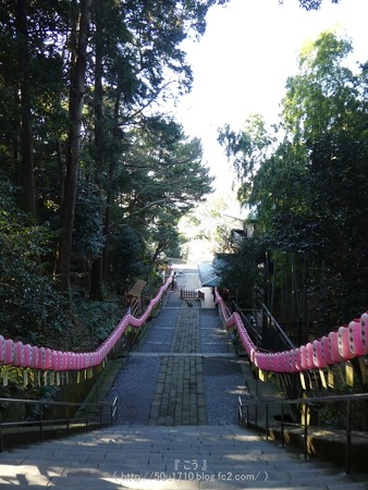 170110-久能山東照宮 (76)
