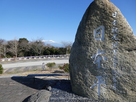 170110-日本平 (21)