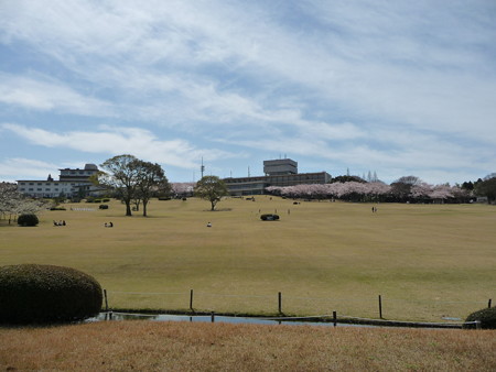 100403-日本平ホテル (59)