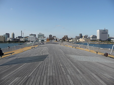 100322-大桟橋 客船2隻 (8)